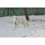 IMG_8580.JPG